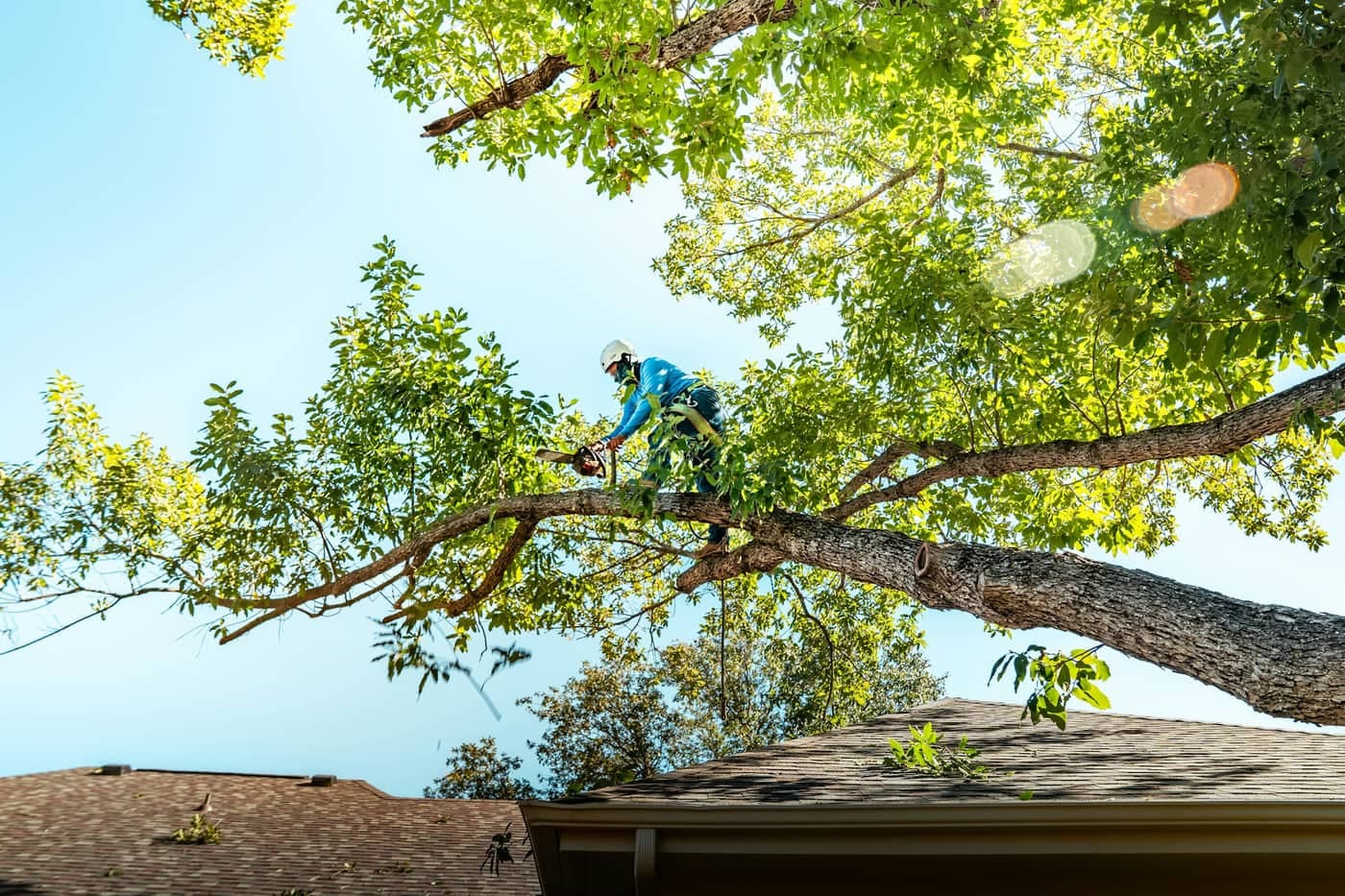 Golden Hands Landscapers